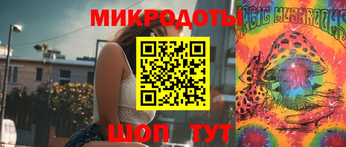 Псилоцибиновые грибы Psilocybe Темрюк